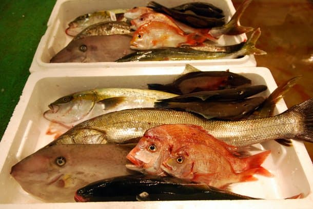 Japanese Fish