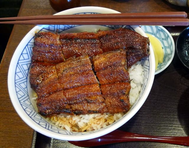 The Ultimate Unagi