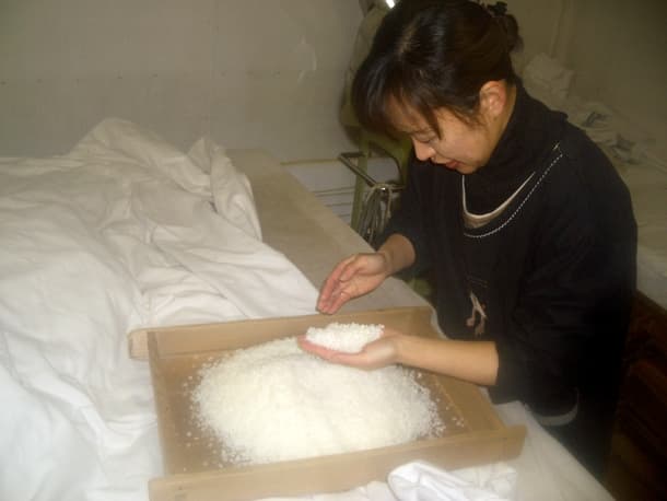 wada sake brewery