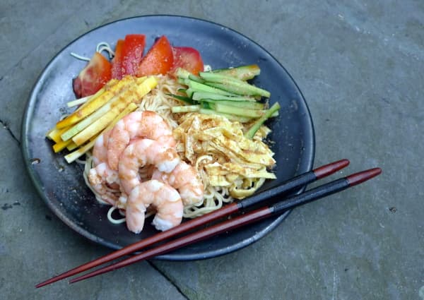 Cold ramen noodles from "A Cook's Journey to Japan"