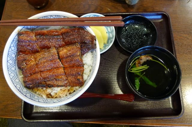 The Ultimate Unagi
