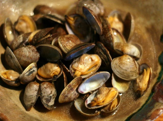 Videos: Clam Soup and Sake-Steamed Clams